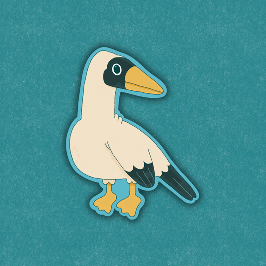 Masked Booby Sticker