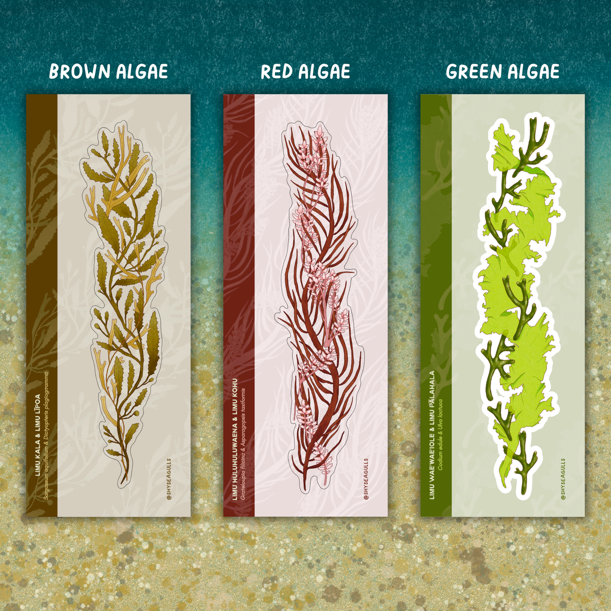 Algae Wrap Sticker