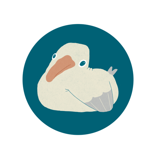 Shy Seagulls