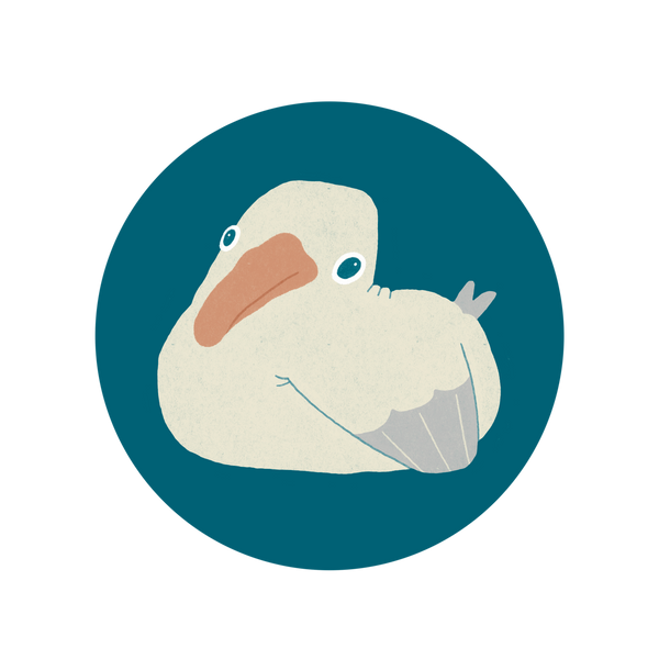 Shy Seagulls